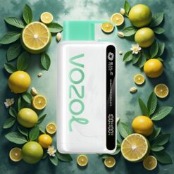 VOZOL STAR 9000/12000 Engangsdamp med Sitrusmynte – 650mAh & 30% raskere lading