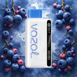 VOZOL STAR 9000/12000 Engangsvape Blåbærstorm med 650mAh batteri og raskladning