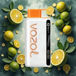 VOZOL STAR 9000/12000 Engangsvape Sitron Lime med 650mAh batteri og rasklading